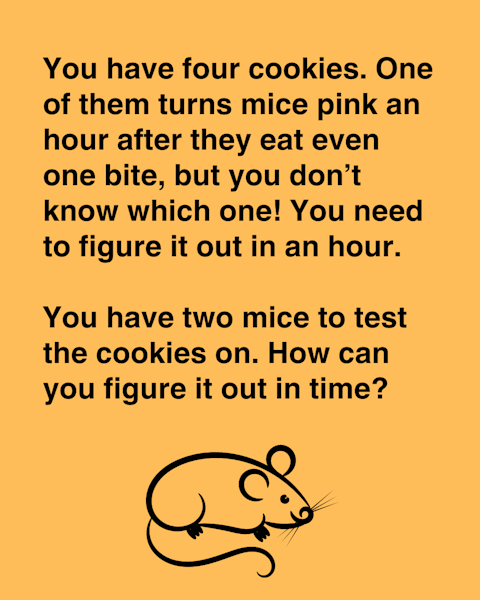 You have four cookies. One of them turns mice pink an hour after they eat even one bite, but you don’t know which one! You need to figure it out in an hour. You have two mice to test the cookies on. How can you figure it out in time?