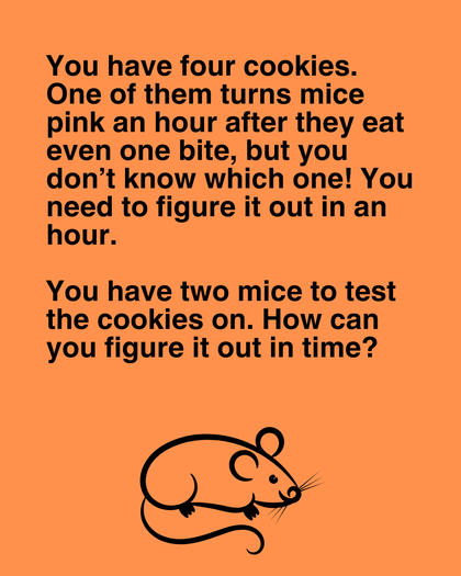 You have four cookies. One of them turns mice pink an hour after they eat even one bite, but you don’t know which one! You need to figure it out in an hour.