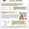 Worksheet preview image $2